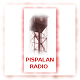 Pispalan Radio -logo